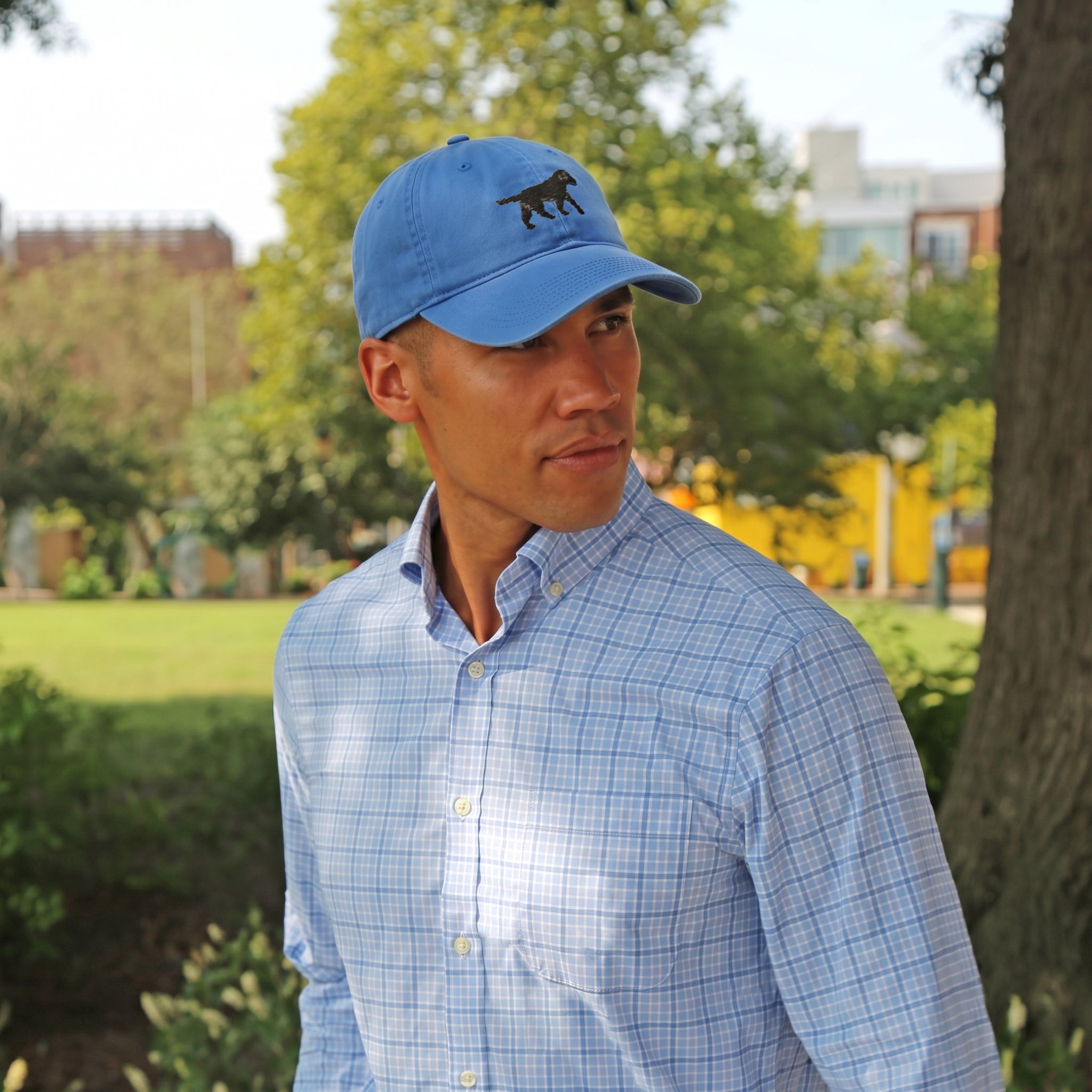 Black Lab Walking Hat (Royal)