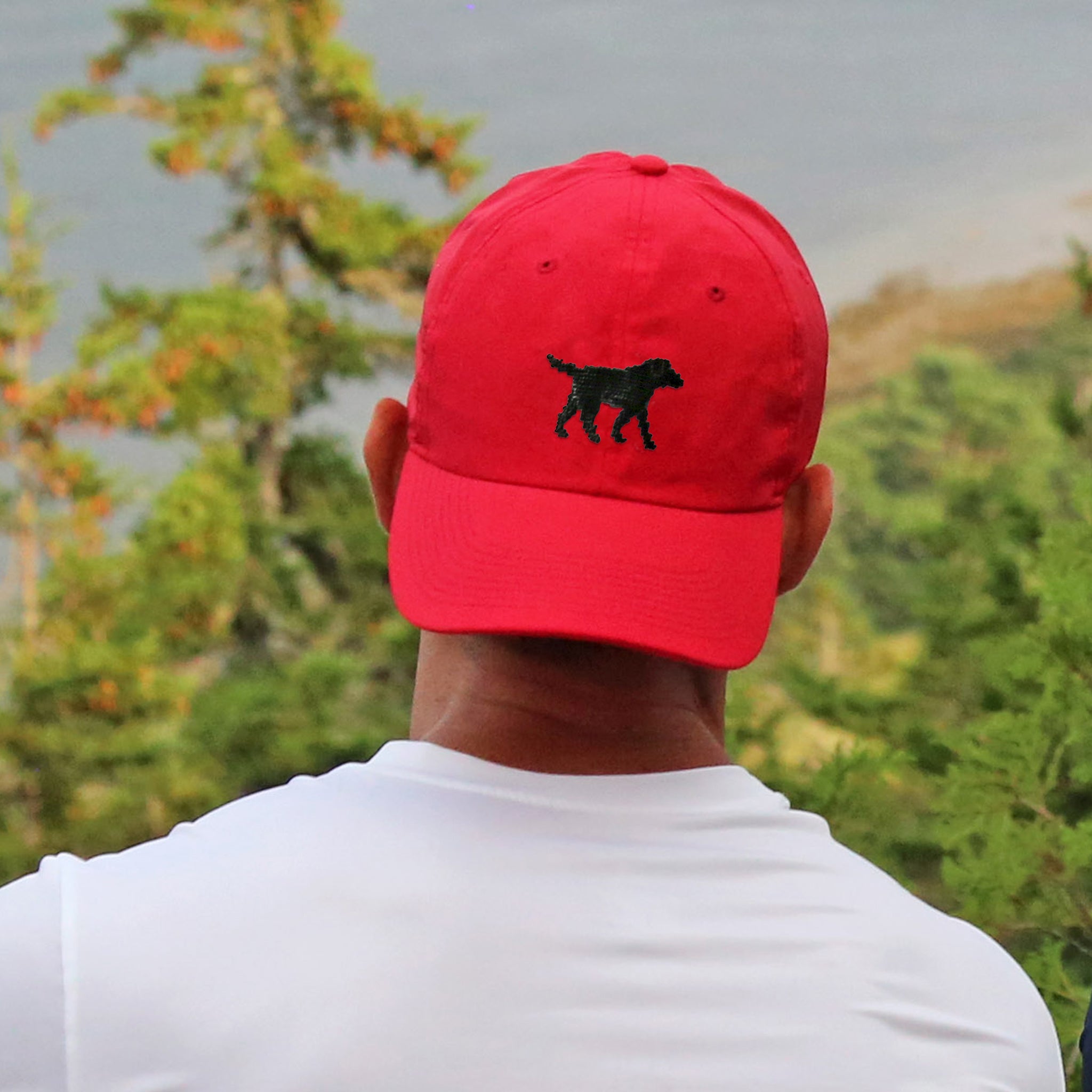 Black Lab Walking Performance Hat (Sunday Red)