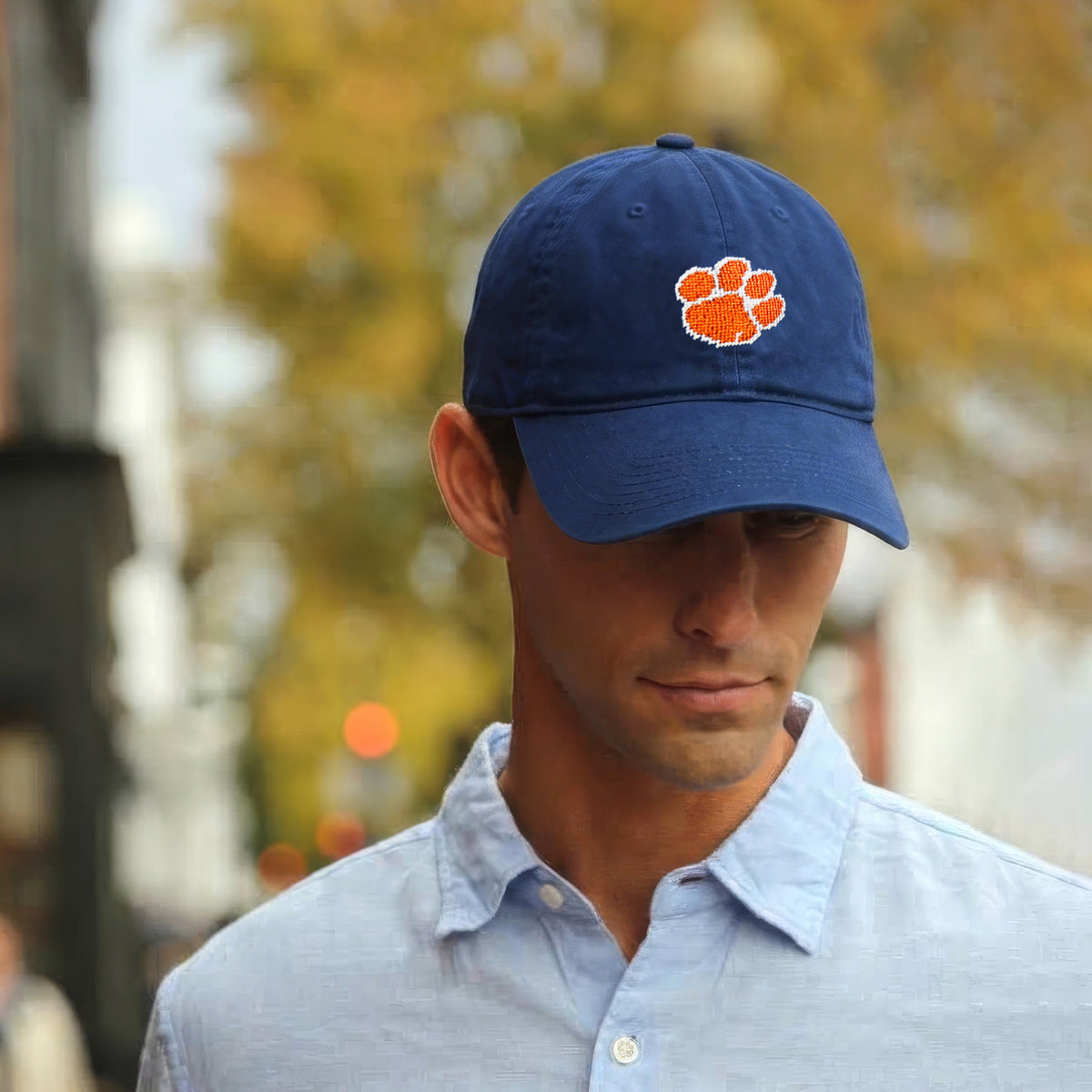Clemson Hat (Navy)