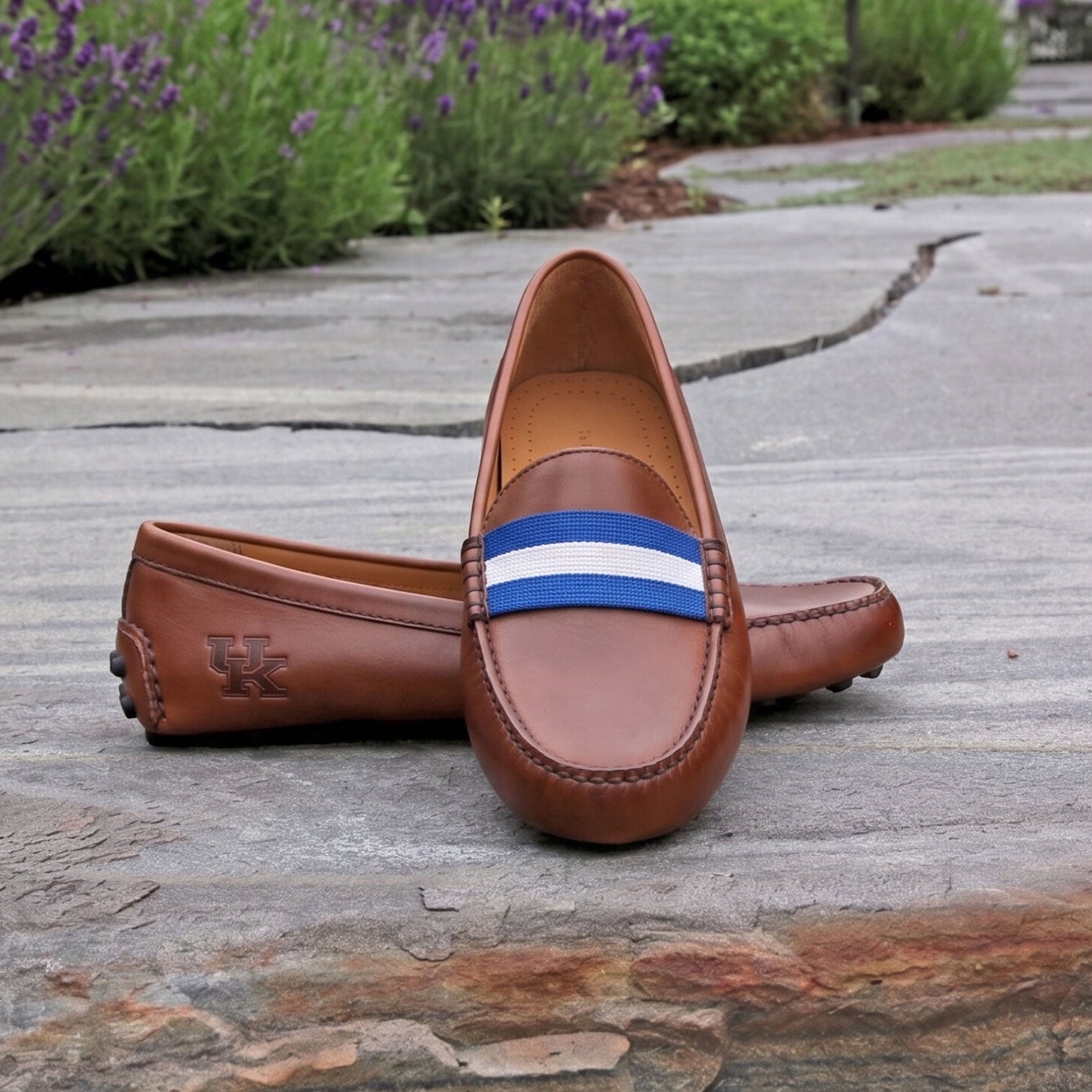 Kentucky Surcingle Driving Shoes (Blue-White) (Chestnut Leather
