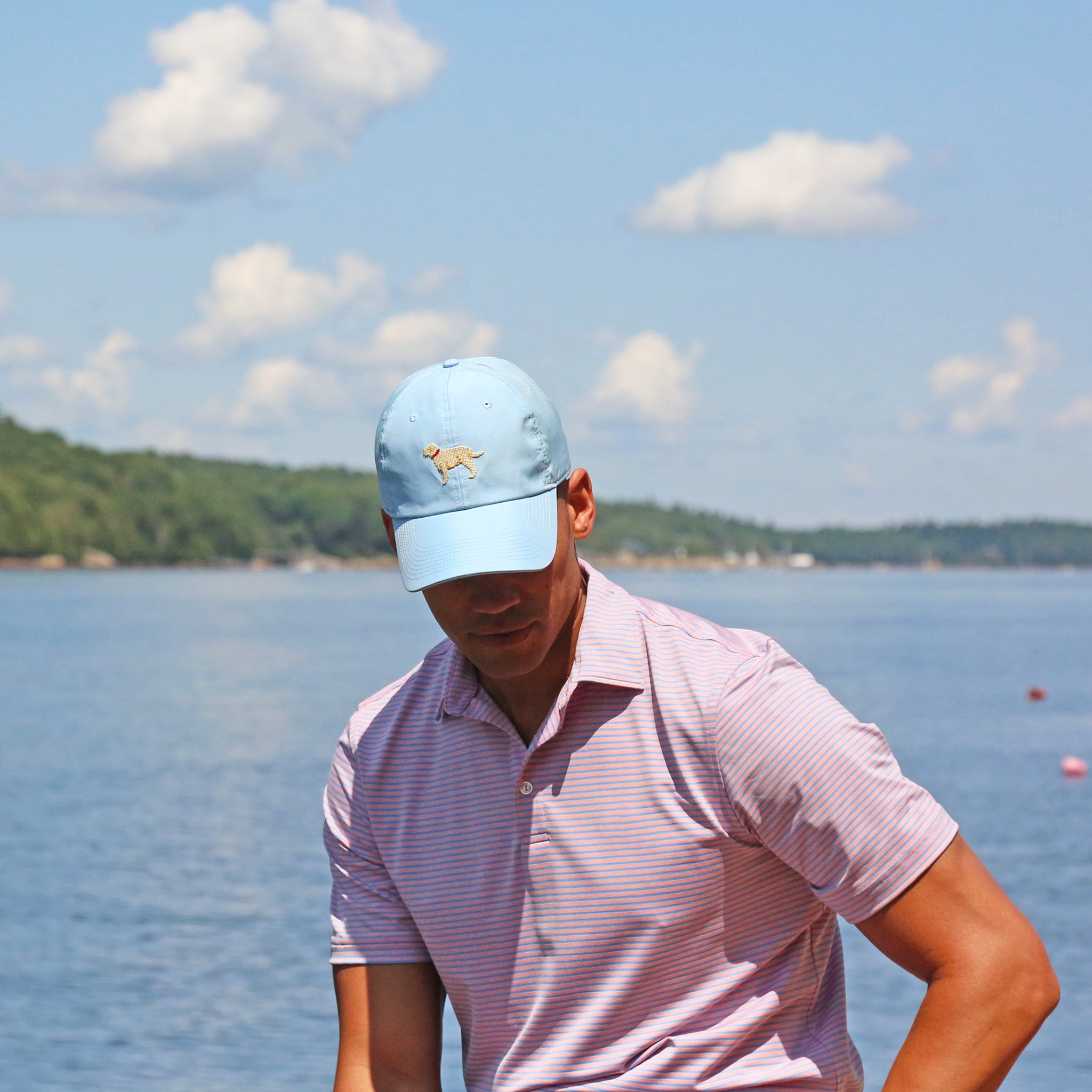 Yellow Lab Performance Hat (Sky Blue)