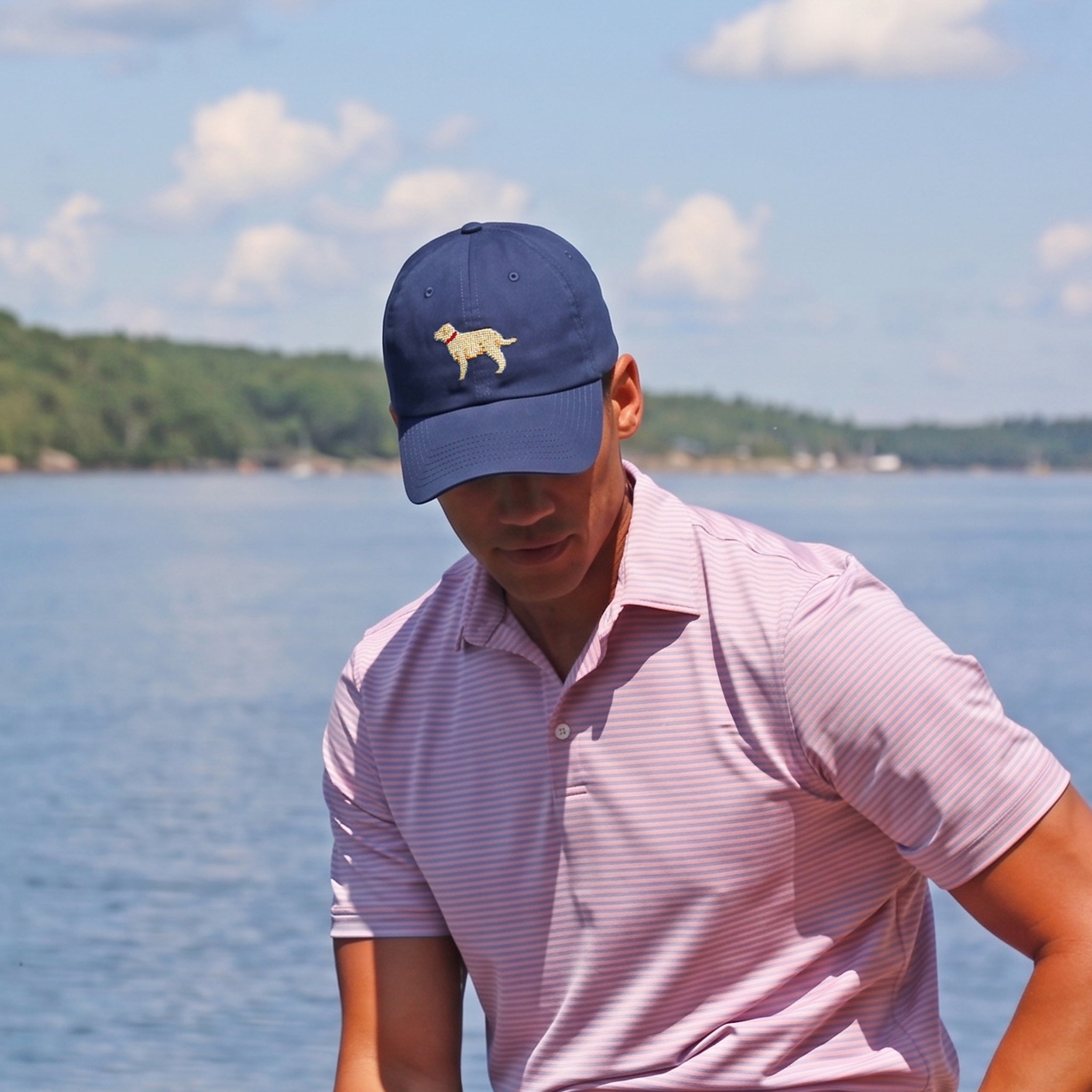 Yellow Lab Performance Hat (Navy)